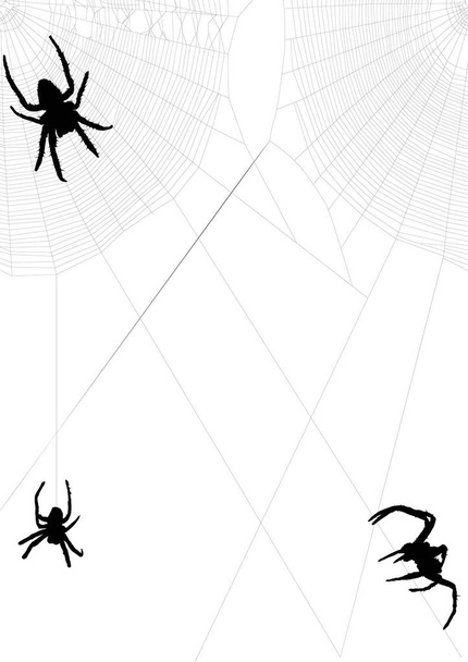 illustratie met spinnenweb geïsoleerd op witte achtergrond - Vector, afbeelding