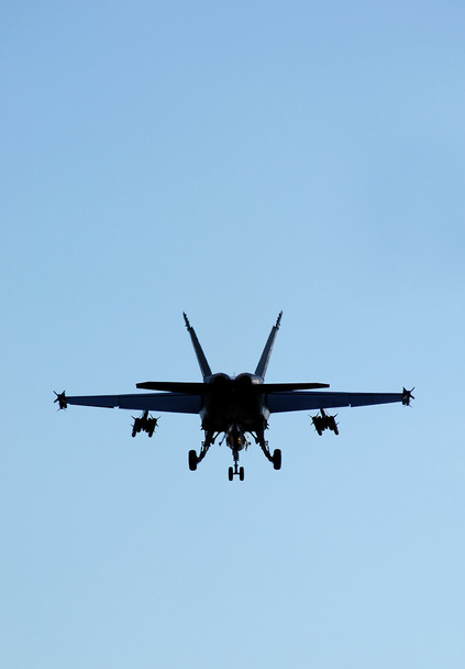 savaş uçağı - Fotoğraf, Görsel