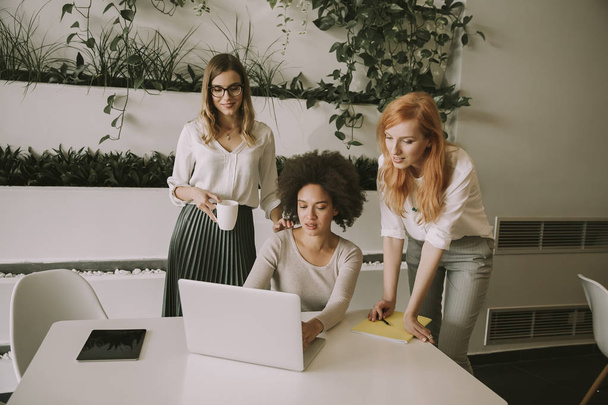 Cheerful professional multiracial women working and presenting data in modern office - Фото, зображення