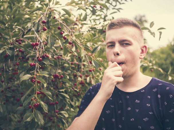 retrato cercano de un joven comiendo bayas de pie cerca del árbol en el jardín vintage tonificado
 - Foto, Imagen