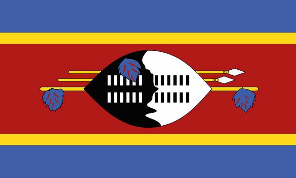 Illustrazione dettagliata Bandiera nazionale Swaziland
 - Vettoriali, immagini