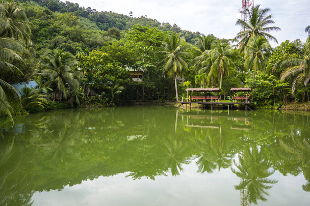 Die Reflexion des Sees im Phuket, Thailand. Oberfläche der Seen wie ein Spiegel spiegelt das Bild oben, Doppelbild der Landschaft. - Foto, Bild