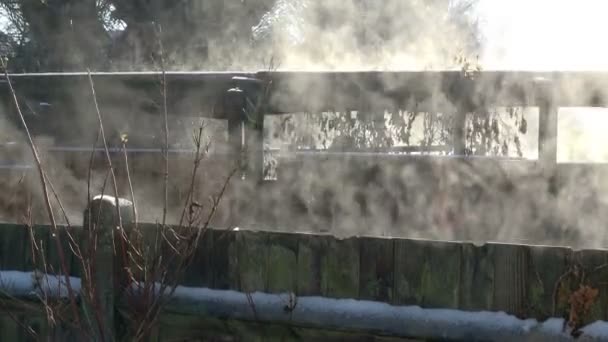 Ατμός που υψώνεται από ένα φράχτη, όπως ο ήλιος ανατέλλει για ένα κρύο παγωμένο πρωί - Πλάνα, βίντεο