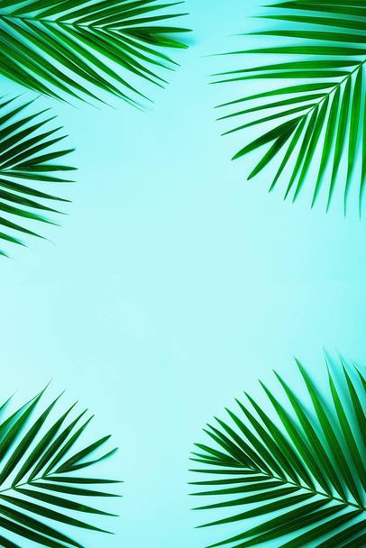 Trooppisia palmunlehtiä pastellinsinisellä pohjalla. Minimaalinen kesäkonsepti. Luova tasainen makasi kopioi tilaa. Top view vihreä lehti punchy pastelli paperille
 - Valokuva, kuva