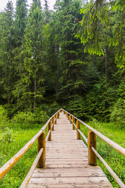 The bridge is completely made of wood leading to a forest thicket with tall green trees. - Photo, image