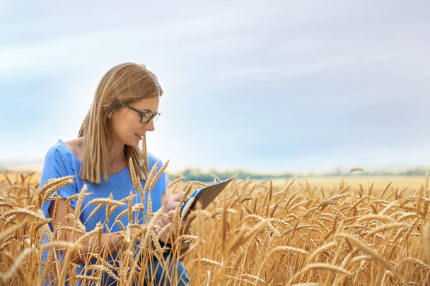Young agronomist with clipboard in grain field. Cereal farming - Foto, afbeelding