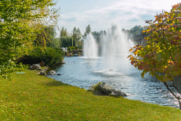 Strefa zielona z ogromną ozdobne fontanny w środku przejrzyste jezioro - Zdjęcie, obraz