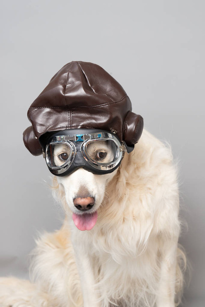 Recuperador de oro blanco con casco de aviador vintage y gafas contra un fondo gris sin costuras
 - Foto, Imagen