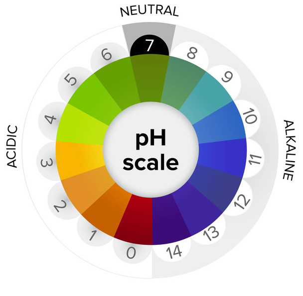 Ph のスケール、圧力計、インフォ グラフィックの測定単位。すべての手順酸からアルカリに中立的に。ph は酸性または塩基性水溶液の指定に使用される対数スケールです。 - ベクター画像