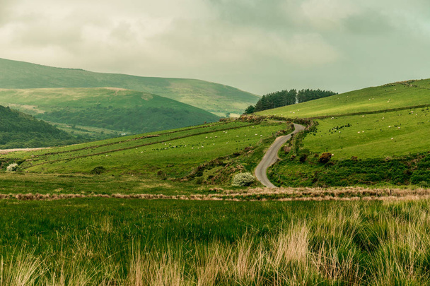 Прогулочні дороги на Caherconree, 835 метрова гора на півострові Дінгл в Англією, Ірландії, другий найвищої вершини гори Slieve міш. - Фото, зображення