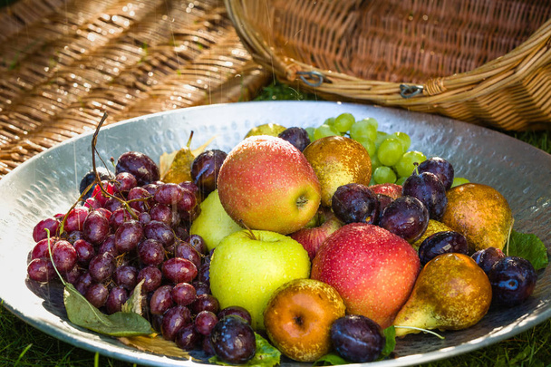 Збирання фруктів в кінці літа - яблука, груші, сливи і виноград
 - Фото, зображення