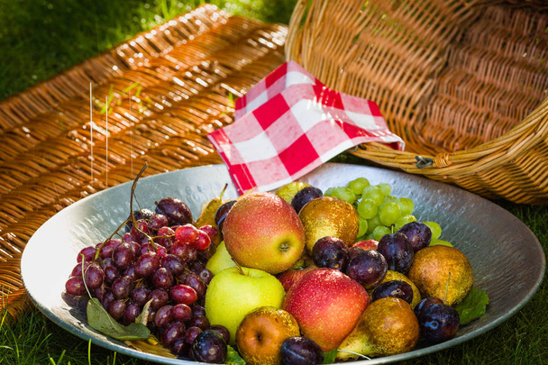 Συλλογή στο τέλος του καλοκαιριού - μήλα, αχλάδια, δαμάσκηνα και σταφύλια φρούτων - Φωτογραφία, εικόνα