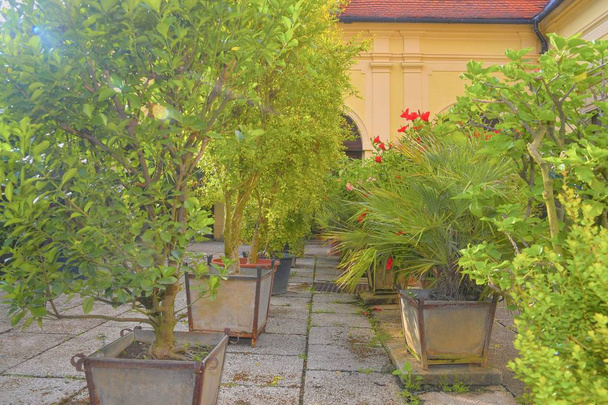 Pieni puutarha kaupunkien historiallisella pihalla. Puutarha tyyli
 - Valokuva, kuva