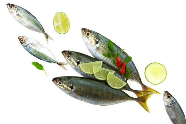 Čerstvé ryby s citronem a izolované na bílém pozadí, koncepce vaření pozadí listu. - Fotografie, Obrázek
