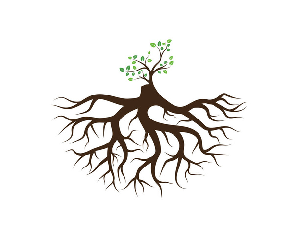 Logos de verde Árbol hoja ecología naturaleza elemento vector - Vector, Imagen