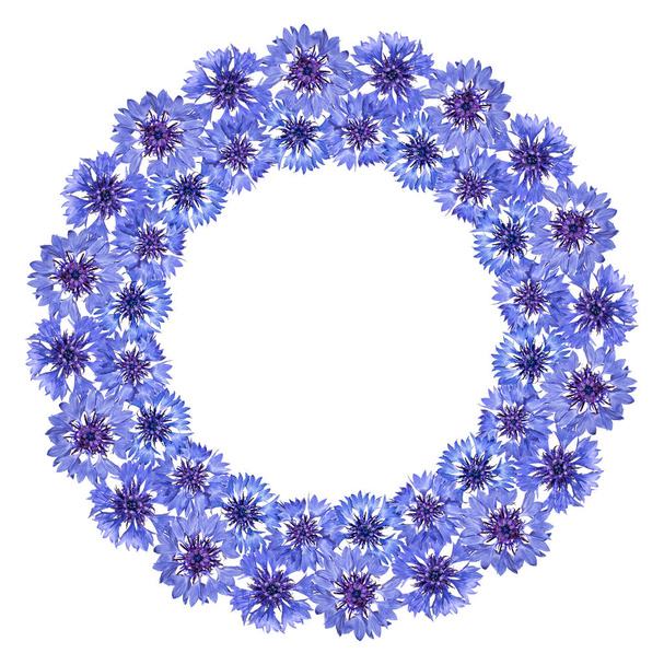 Round frame of cornflowers on a white background - Foto, afbeelding