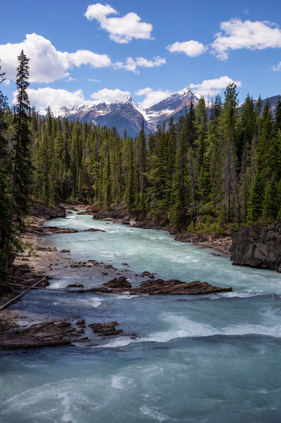 River flowing in the canyon surrounded by the beautiful Canadian Rockies. Taken in Natural Bridge near Emerald Lake, British Columbia, Canada. - 写真・画像