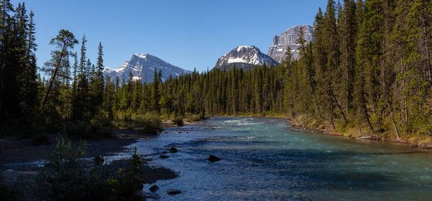 River flowing through the Canadian Rockies during a sunny summer day. Taken in Banff National Park, Alberta, Canada. - Zdjęcie, obraz