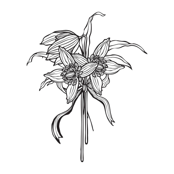 Flourish spring floral card - Vecteur, image