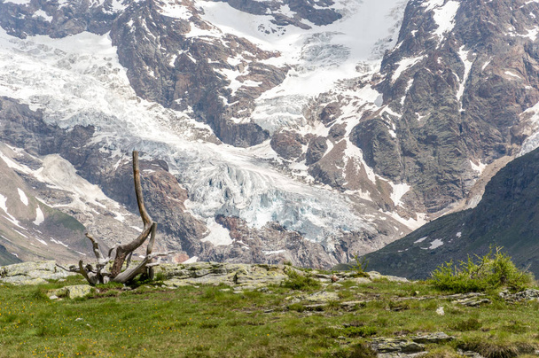 Hermoso glaciar en el valle alpino de Gressoney cerca de Monte Rosa, Valle de Aosta, norte de Italia. El valle de Gressoney está situado en el valle de Aosta, en el norte de Italia. Está marcado por el río Lys, cuya fuente es el glaciar de Monte Rosa.
. - Foto, imagen