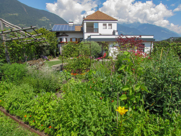 House with garden and solar panels on the roof at Lana in South Tyrol, Italy - Photo, Image