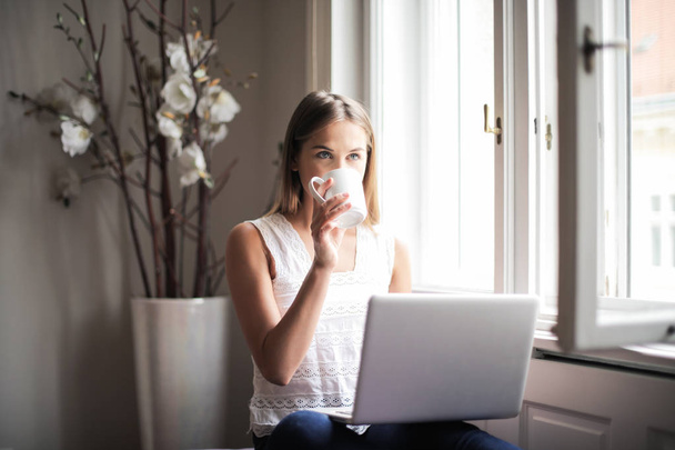 Young woman sitting on a sofa with a laptop and having a drink. - 写真・画像