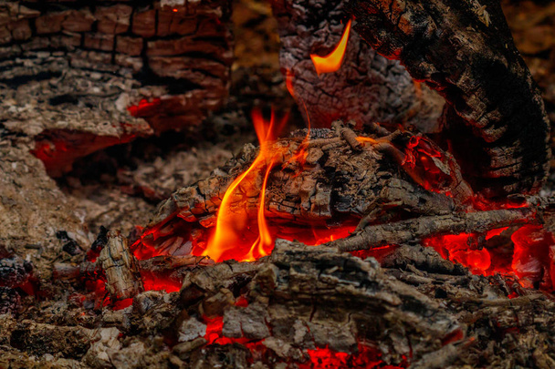 Texturflamme aus brennenden Baumstämmen in der Nacht aus nächster Nähe - Foto, Bild