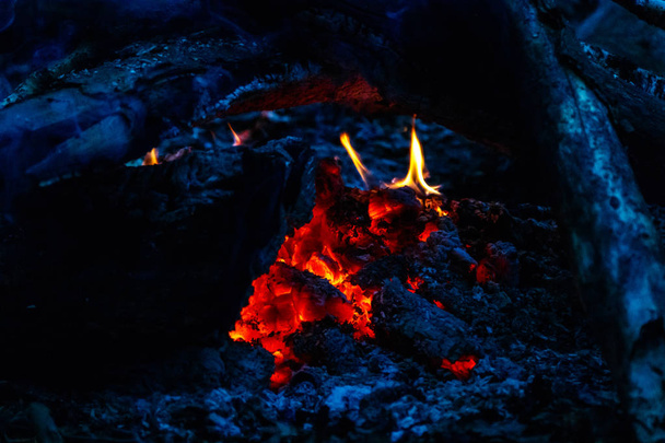 płomień tekstury z płonących dzienników w nocy z bliska - Zdjęcie, obraz