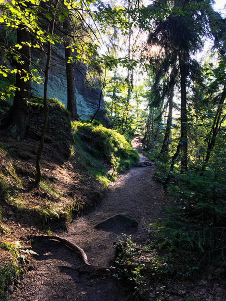 Wandern, Wandern, Klettern in der wunderschönen Landschaft des Elbsandsteingebirges - Foto, Bild