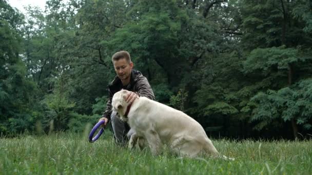 4k Ralenti. Entraînement de chien. Un homme enseigne et forme un chien Golden retriever en plein air dans le parc
. - Séquence, vidéo