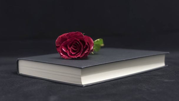 White rose and notebook - Valokuva, kuva