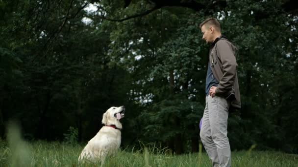 4 k スローモーション。犬の訓練。男は教育と訓練の公園で屋外ゴールデンレトリーバー犬. - 映像、動画