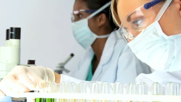 Female researchers working in a laboratory, close up - Footage, Video