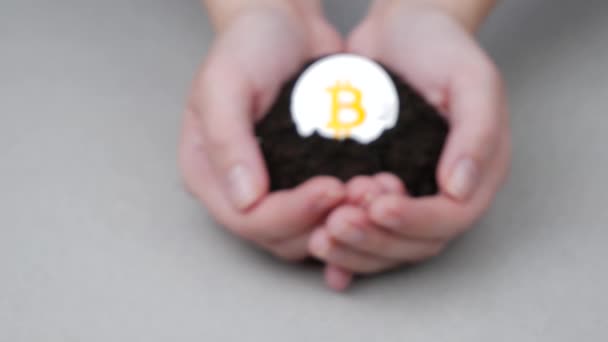 Silver bitcoin cryptocurrency it the girls hands with ground - Video