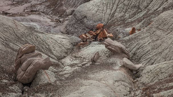 Οριζόντια προβολή του απολιθωμένου Εθνικό Δρυμό, κοντά τον Χόλμπρουκ, Αριζόνα. - Φωτογραφία, εικόνα