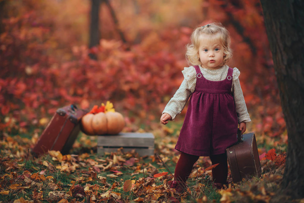 Cute little traveler girl  - Foto, afbeelding