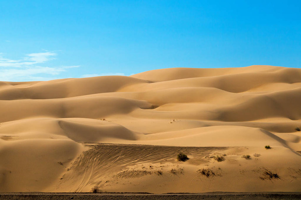 Off road транспортного засобу треків в піщаних дюн тільки за межами Юма, штат Арізона. Дюни є масовим, пагорбів, зроблені з піску. Вони мають хребтів від вітру підірваний піску. - Фото, зображення