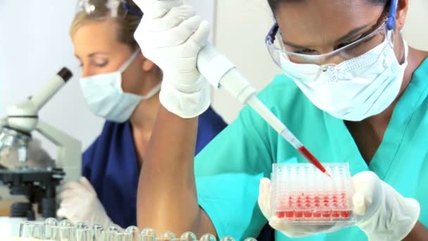 Female researchers working in a laboratory - Footage, Video