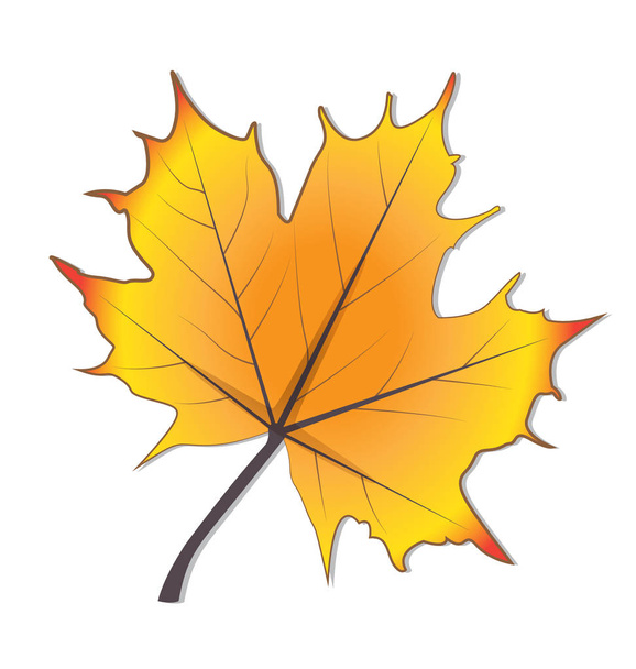 Podzimní sezóna stylizované konstrukce křídla vektorové ikony - Vektor, obrázek