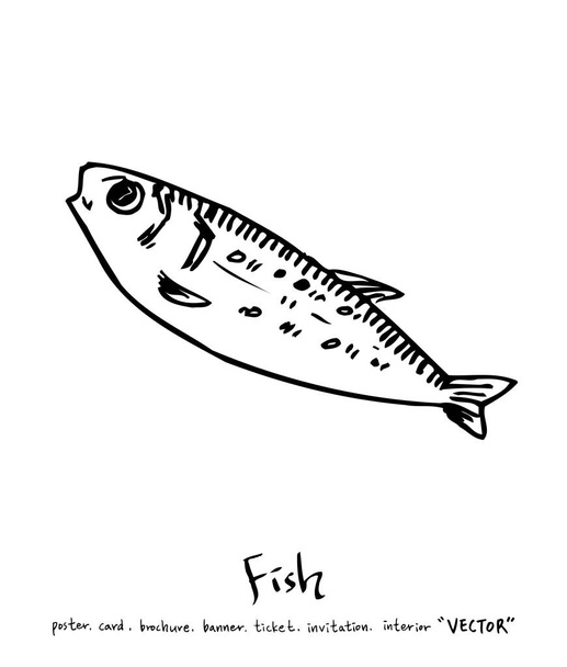 sea food illustrations / Hand drawn food ingredients - vector - Vektör, Görsel