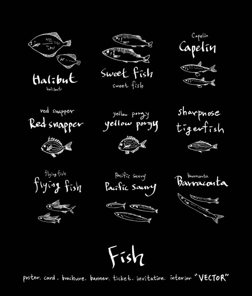 Hand drawn food ingredients - sea food menu illustrations - vector - Διάνυσμα, εικόνα