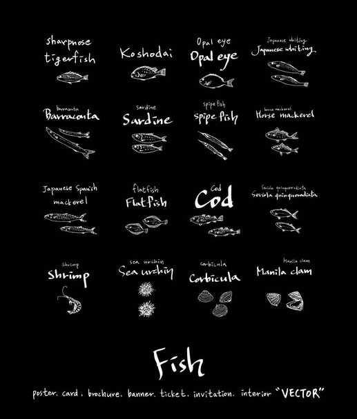 Hand drawn food ingredients - sea food menu illustrations - vector - Вектор,изображение