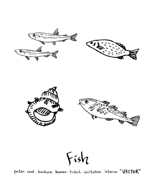 Hand drawn food ingredients - sea food menu illustrations - vector - Вектор,изображение