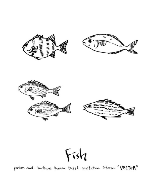 Hand drawn food ingredients - sea food menu illustrations - vector - Vettoriali, immagini