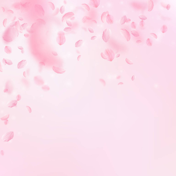 桜の花びらが落ちています。ロマンチックなピンクの花は、雨が降っています。ピンクの正方形の背景に花びらを飛んでください。. - ベクター画像