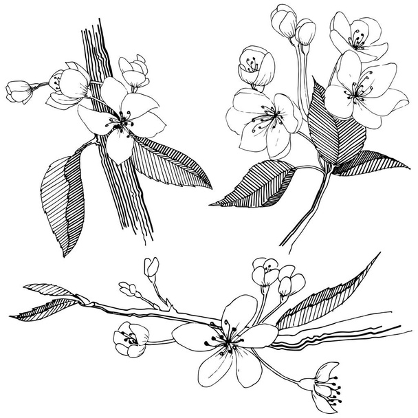 Δέντρο μηλιάς στο ένα στυλ διάνυσμα απομονωμένη. Πλήρης ονομασία του φυτού: Μηλιά. Διάνυσμα λουλούδι για φόντο, υφή, μοτίβο περιτύλιγμα, πλαίσιο ή στα σύνορα. - Διάνυσμα, εικόνα