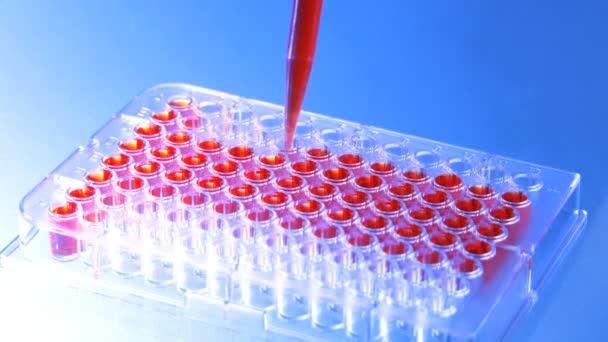 Close up of a microplate and a pipette filling the wells with blood - Footage, Video