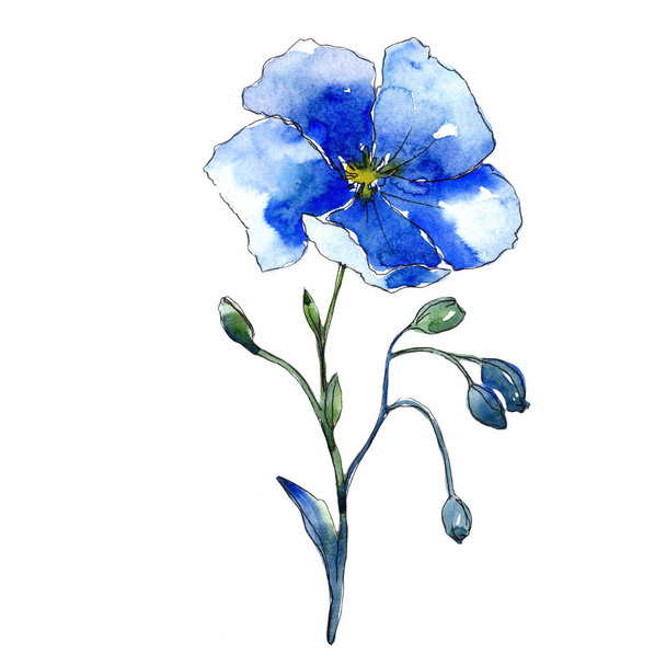 Modrý květ lnu. Květinové botanické květin. Izolované ilustrace prvek. Aquarelle wildflower pro pozadí, textura, souhrnný vzorek, rám nebo hranice. - Fotografie, Obrázek
