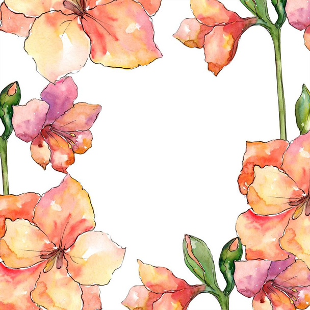 Narancssárga amaryllis. Virágos botanikai virág. Test határ Dísz tér. A háttér textúra, burkoló minta, keret vagy határ Aquarelle vadvirág. - Fotó, kép