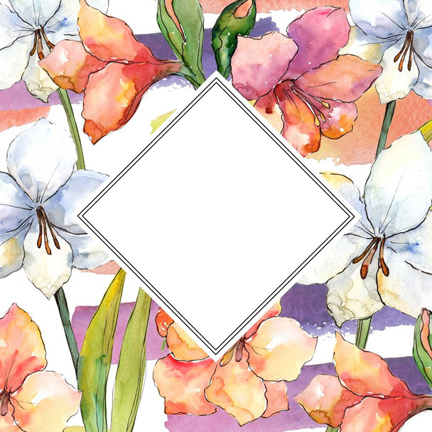 Oranje en witte amaryllis. Floral botanische bloem. Frame grens ornament vierkant. Aquarelle wildflower voor achtergrond, textuur, wrapper patroon, frame of rand. - Foto, afbeelding
